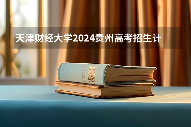 天津财经大学2024贵州高考招生计划 招多少人