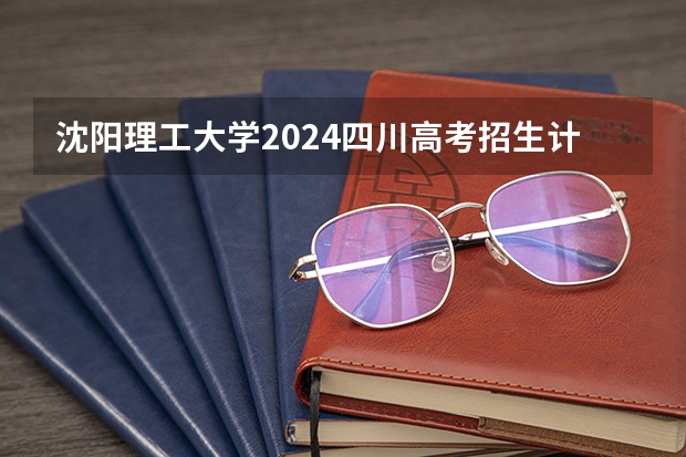 沈阳理工大学2024四川高考招生计划 招多少人