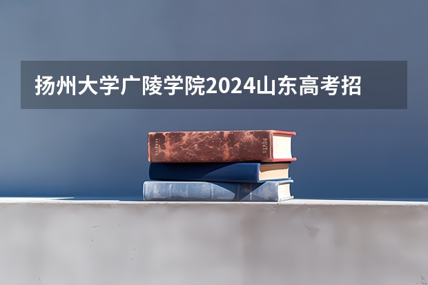 扬州大学广陵学院2024山东高考招生计划 招多少人