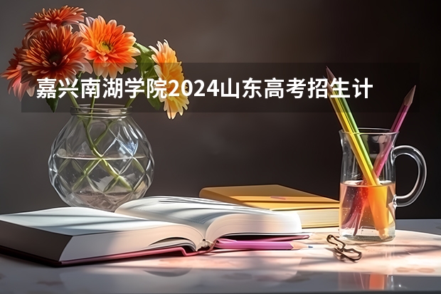 嘉兴南湖学院2024山东高考招生计划 招多少人