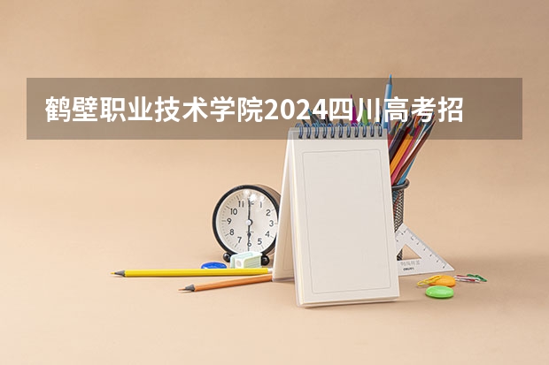 鹤壁职业技术学院2024四川高考招生计划 招多少人