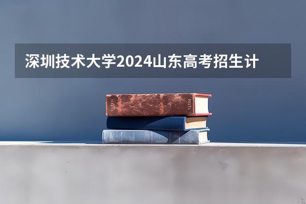 深圳技术大学2024山东高考招生计划 招多少人