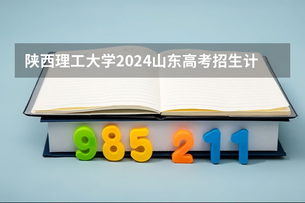 陕西理工大学2024山东高考招生计划 招多少人