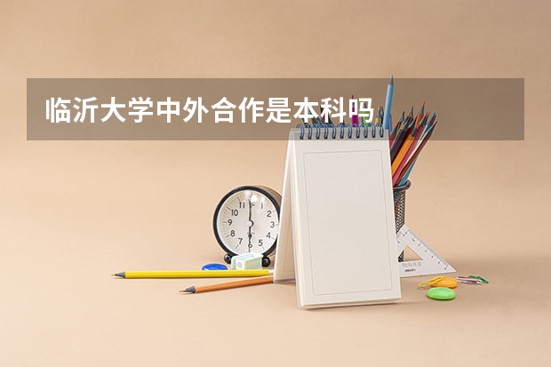 临沂大学中外合作是本科吗