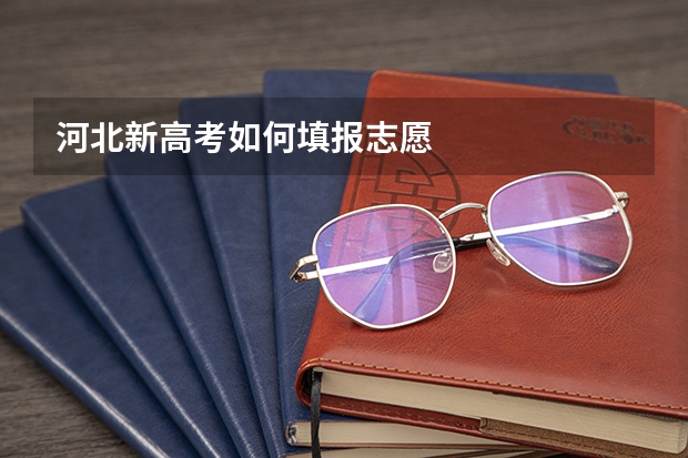 河北新高考如何填报志愿