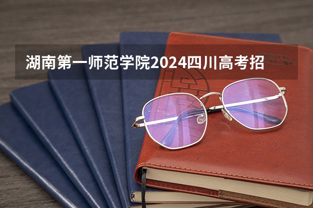 湖南第一师范学院2024四川高考招生计划 招多少人