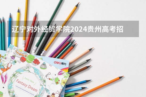 辽宁对外经贸学院2024贵州高考招生计划 招多少人