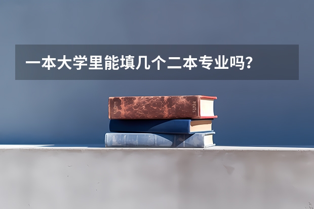 一本大学里能填几个二本专业吗？