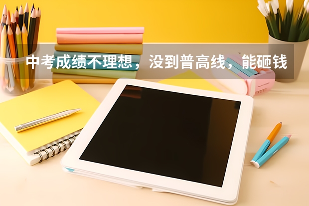 中考成绩不理想，没到普高线，能砸钱上私立吗