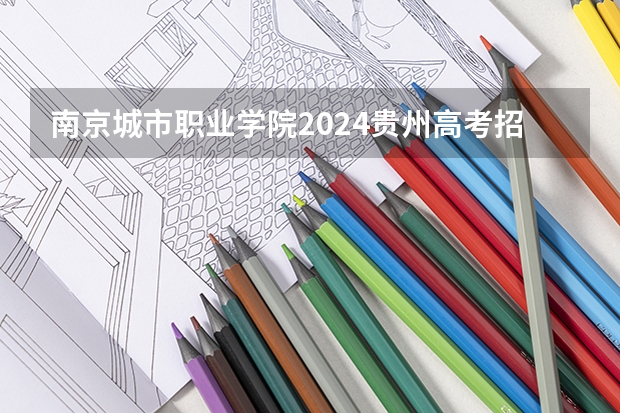 南京城市职业学院2024贵州高考招生计划 招多少人
