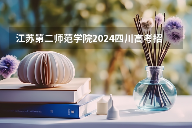 江苏第二师范学院2024四川高考招生计划 招多少人