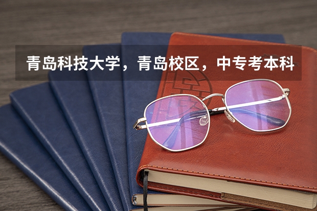 青岛科技大学，青岛校区，中专考本科的分数线是多少，财会专业的