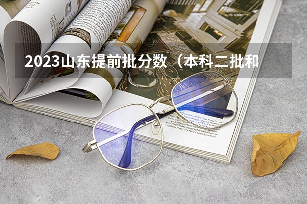 2023山东提前批分数（本科二批和一批的区别）