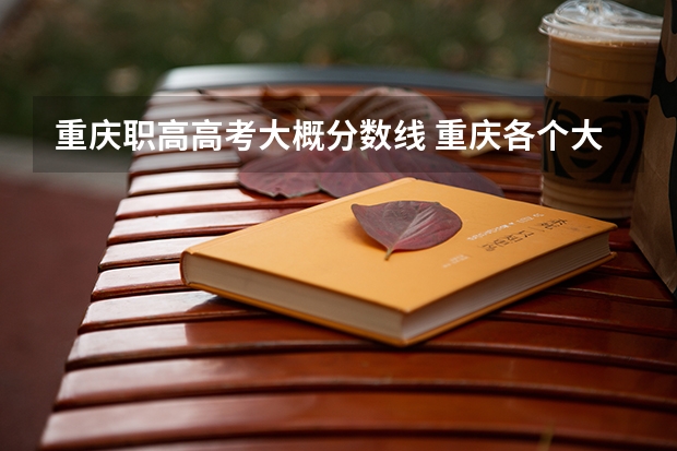 重庆职高高考大概分数线 重庆各个大学分数线