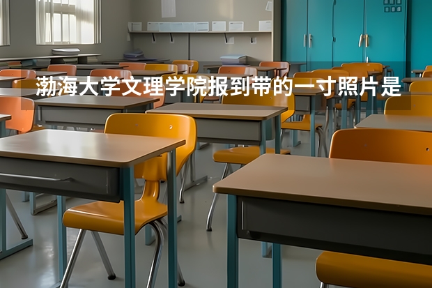 渤海大学文理学院报到带的一寸照片是蓝底的吗？