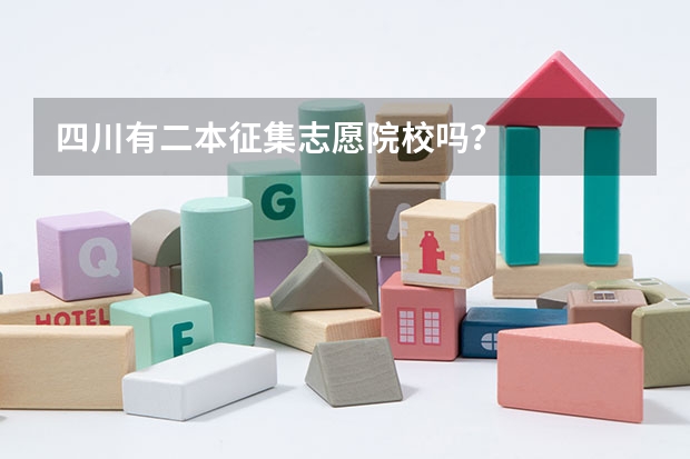 四川有二本征集志愿院校吗？