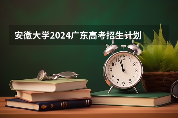 安徽大学2024广东高考招生计划 招多少人