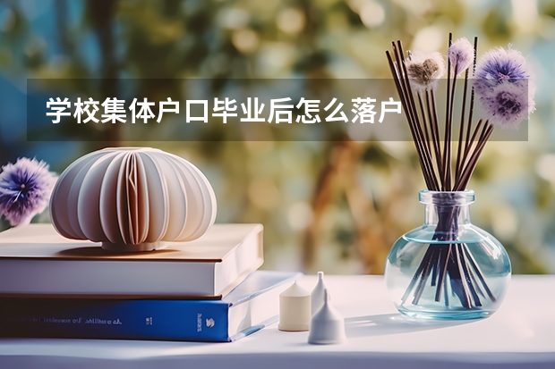 学校集体户口毕业后怎么落户