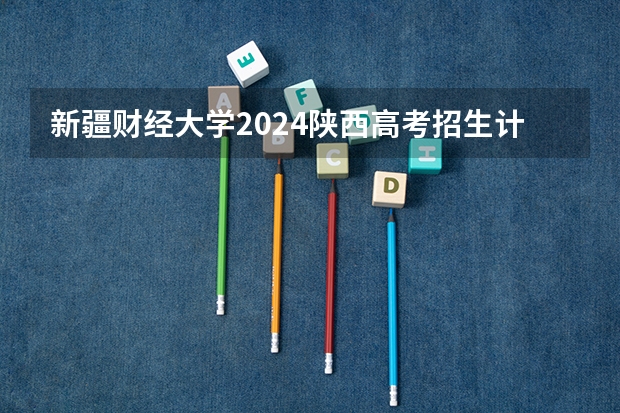 新疆财经大学2024陕西高考招生计划 招多少人