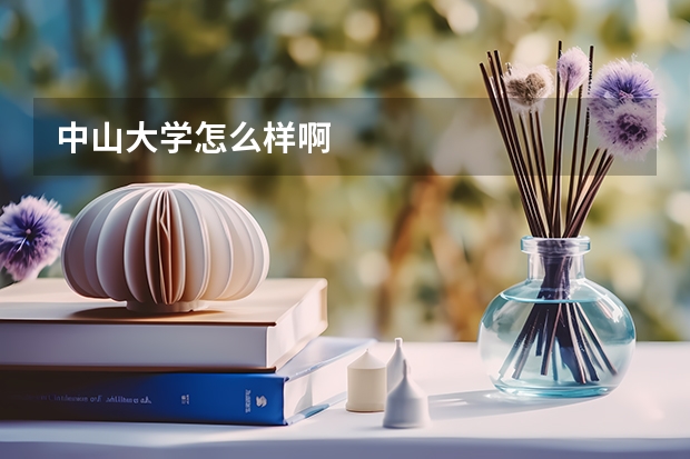 中山大学怎么样啊
