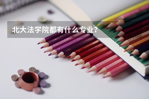 北大法学院都有什么专业？