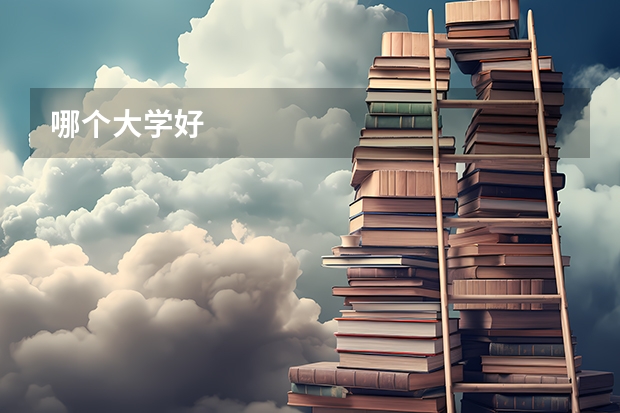 哪个大学好