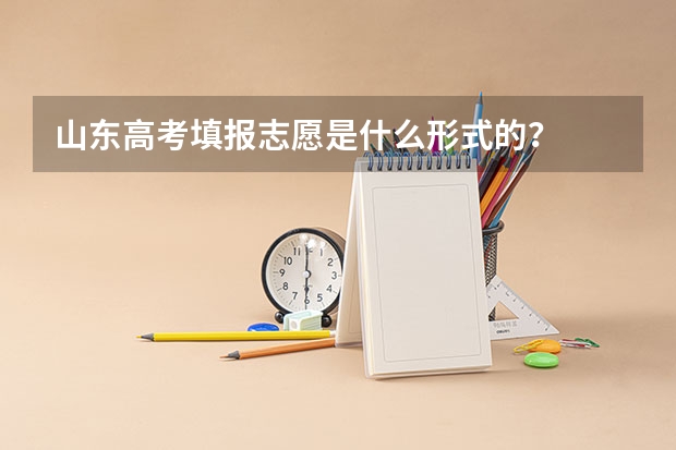 山东高考填报志愿是什么形式的？