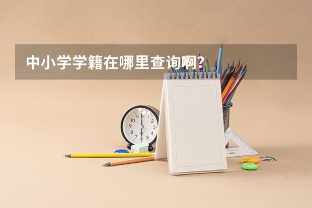 中小学学籍在哪里查询啊？