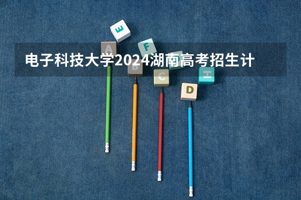 电子科技大学2024湖南高考招生计划 招多少人