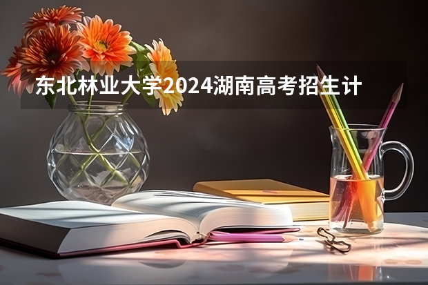 东北林业大学2024湖南高考招生计划 招多少人