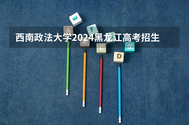 西南政法大学2024黑龙江高考招生计划 招多少人