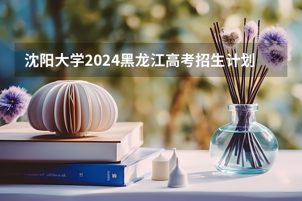 沈阳大学2024黑龙江高考招生计划 招多少人