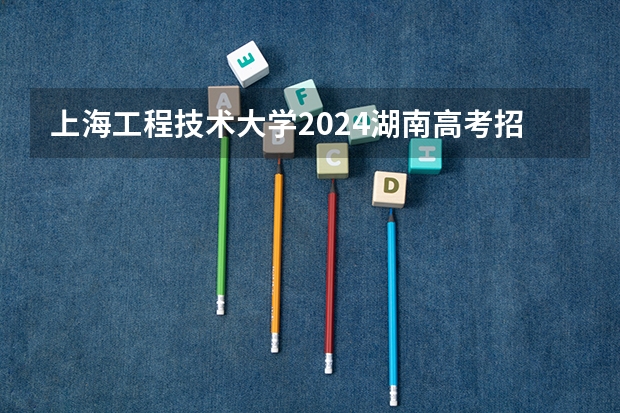 上海工程技术大学2024湖南高考招生计划 招多少人