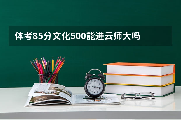 体考85分文化500能进云师大吗