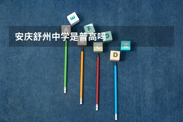 安庆舒州中学是普高吗
