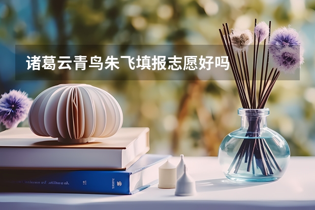 诸葛云青鸟朱飞填报志愿好吗