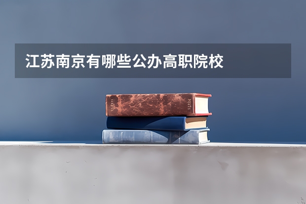 江苏南京有哪些公办高职院校
