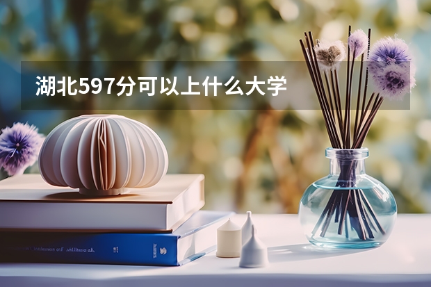 湖北597分可以上什么大学