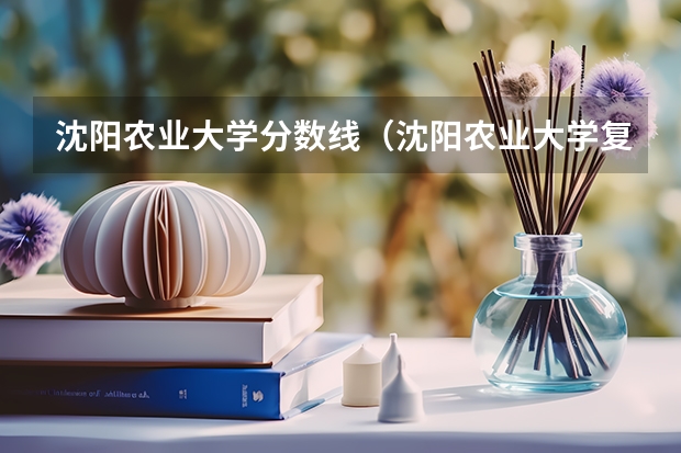 沈阳农业大学分数线（沈阳农业大学复试分数线）