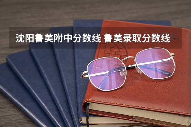 沈阳鲁美附中分数线 鲁美录取分数线2023