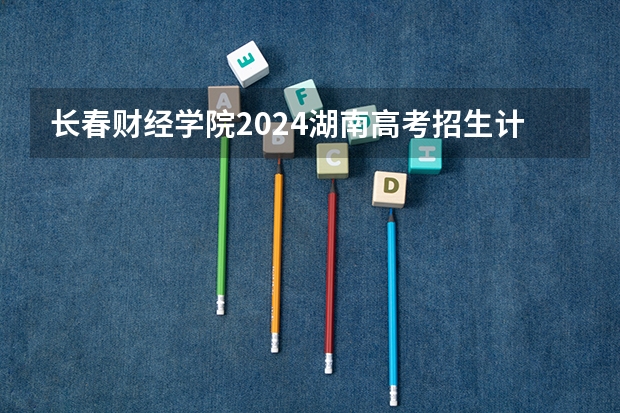 长春财经学院2024湖南高考招生计划 招多少人